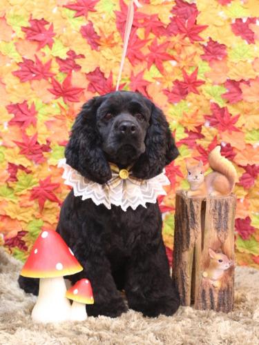 20241107天ちゃん 